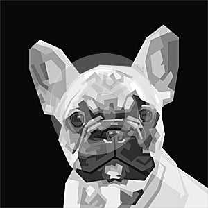 Grayscale french bulldog illustration