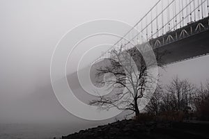 Grayscale of the Golden Gate bridge on a foggy day in San Francisco, California, the United States
