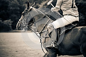 Grayscale of a male polo player on a horse