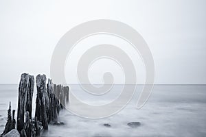 Grayscale shot of a beautiful seascape under a cloudy sky in Ostsee, Germany