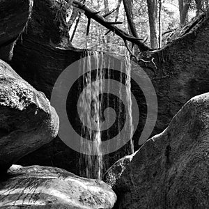 Grayscale shot of the Dismals Canyon in Alabama