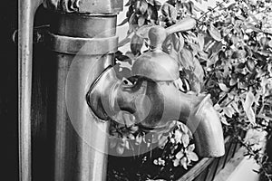 Grayscale shot of a garden tap