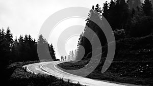 Grayscale shot of a happy family walking on a curved road near coniferous trees photo
