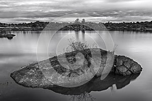 Grayscale shot of the natural area of Marruecos, Spain
