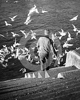 Grayscale shot of an old man going downstairs to the sea while many of birds flying around