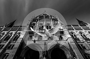 Grayscale shot of a pigeon flying in front of the Parlamento Budapest - Up in the air. photo