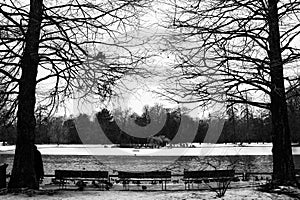 Grayscale shot of row of empty benches by the pond in the park on gloomy winter day