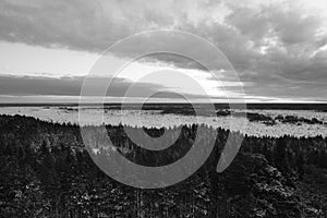 Grayscale shot of Tolkuse Raba landscape under a cloudy sky in Estonia