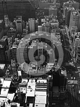 Grayscale top view of Tokyo cityscape Japan