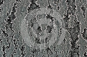 Grayscale of a vibrant pattern of ice crystals