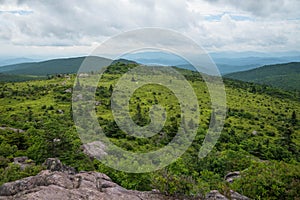 Grayson Highlands Summer Morning 2