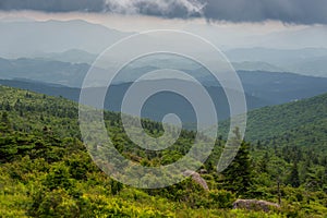 Grayson Highlands Summer Morning 6