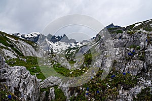 Grazed rocky landscape in the swiss mountains