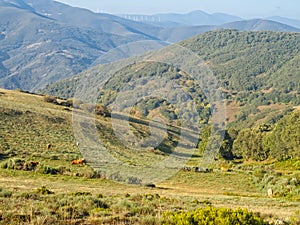 View from around Punto Alto - Manjarin photo