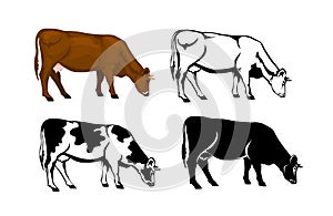 Grazing cow in brown color, silhouette, contour and patched silhouette