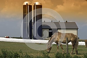 Grazing horse barn silos