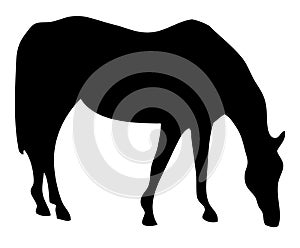 Grazing Horse Sillhouette