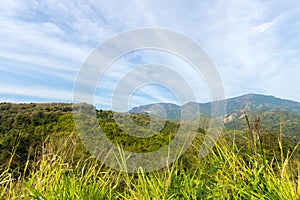 Grean meadow in the mountains