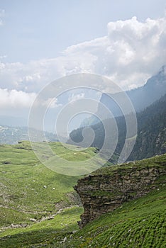 Grean meadow in mountains