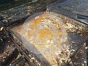 Grease and juices overflowing from grease trap