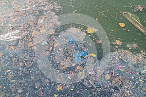 Grease and plastic waste floating on the surface of the water