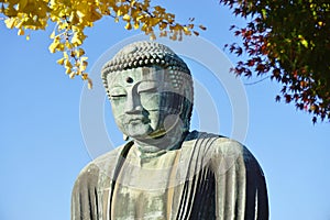 The Great Amida Buddha of Kamakura (Daibutsu) in the Kotoku-in Temple
