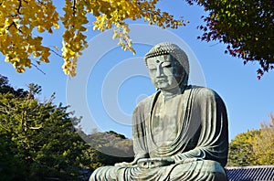 The Great Amida Buddha of Kamakura (Daibutsu) in the Kotoku-in Temple