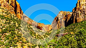 The Great Arch with East Temple mountain, Canyon Overlook and Bridge Mountain in Zion National Park, UT, USA