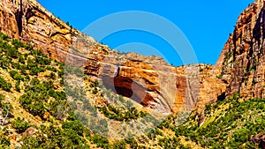 The Great Arch with East Temple mountain, Canyon Overlook and Bridge Mountain in Zion National Park, UT, USA