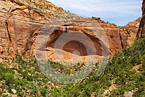 The Great Arch in Zion National Park