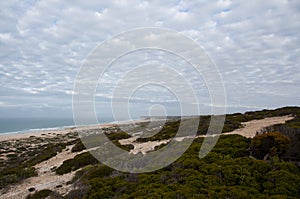 Great Australian Bight