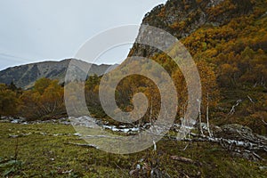 Great autumn landscape with fallen trees