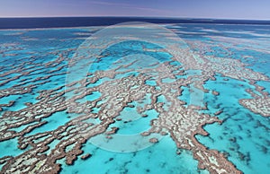 Great Barrier Reef photo