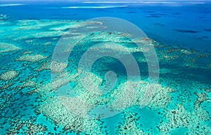 Great Barrier Reef