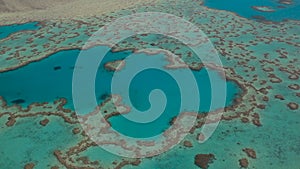 Great Barrier Reef Aerial shot of the heart coral