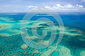 Great Barrier Reef photo