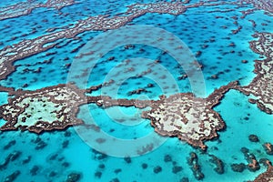 Great Barrier Reef colours
