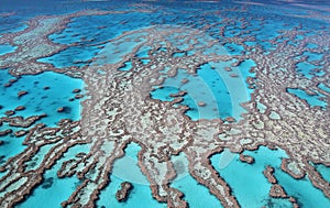 Great Barrier Reef colours