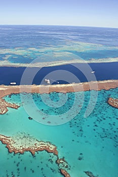 Great Barrier Reef, Queensland, Australia photo