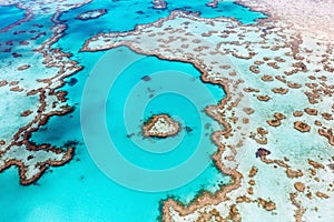 Great Barrier Reef photo