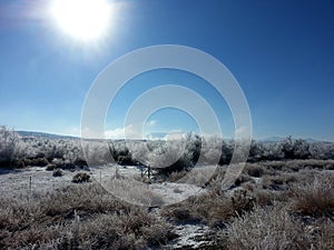 Great Basin Desert in Utah During Winter with Snow Crystals on Sagebrush