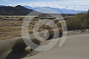 The great basin landscape in the autumn sun