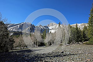 Great Basin National Park landscape