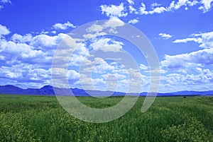 Great Basin Pastoral photo