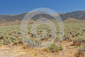 Great Basin View along the Loneliest Highway in the America