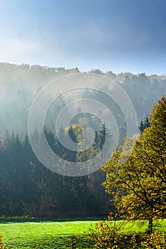 Great beautiful fog in alsacien mountains