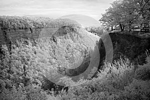 Great Bend Overlook At Letchworth State Park In New York