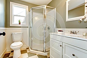 Great blend of white bathroom cabinets with olive walls.