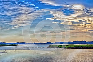 Great Blue Heron standing on a sandbar watching a beautiful Chesapeake Bay sunset at Blackwater Wildlife Refuge