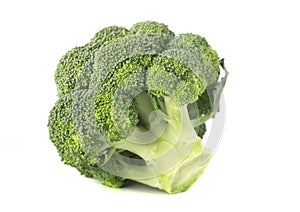 Great broccoli isolated
